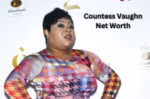 Countess Vaughn Net Worth