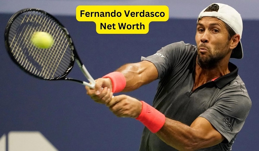 Fernando Verdasco Net Worth