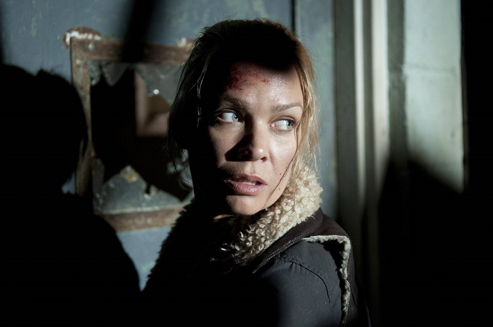 Laurie Holden Income