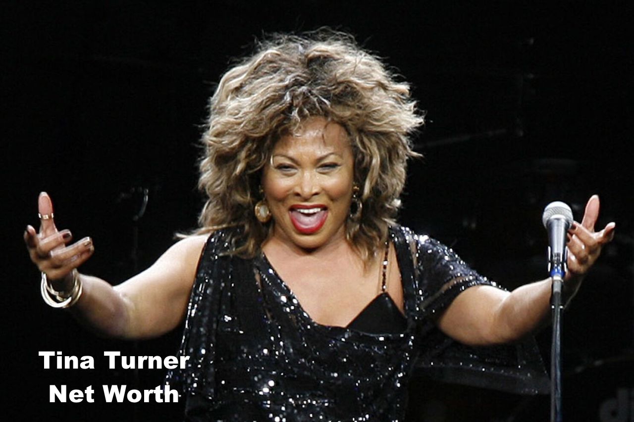 Tina Turner Net Worth