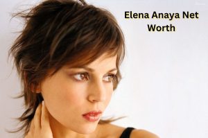 Elena Anaya Net Worth