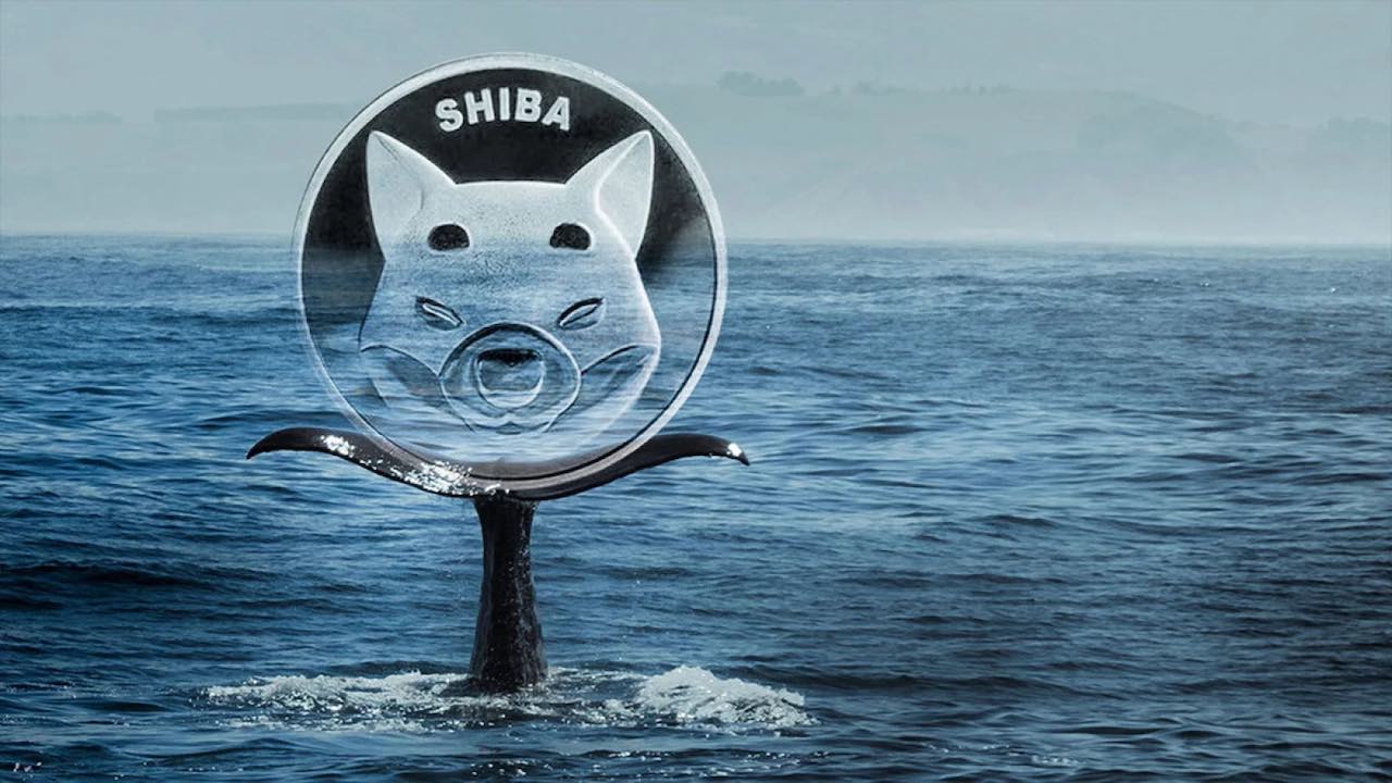 Shiba Inu Whales unload billions Amid SHIB price retreat