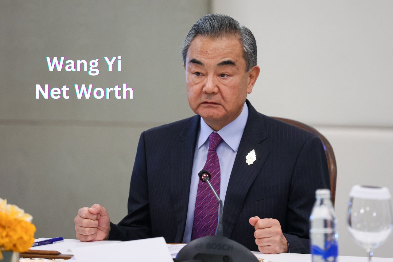 Wang Yi Net Worth