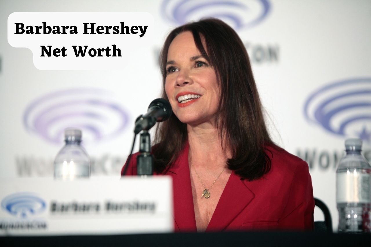 Barbara Hershey Net Worth