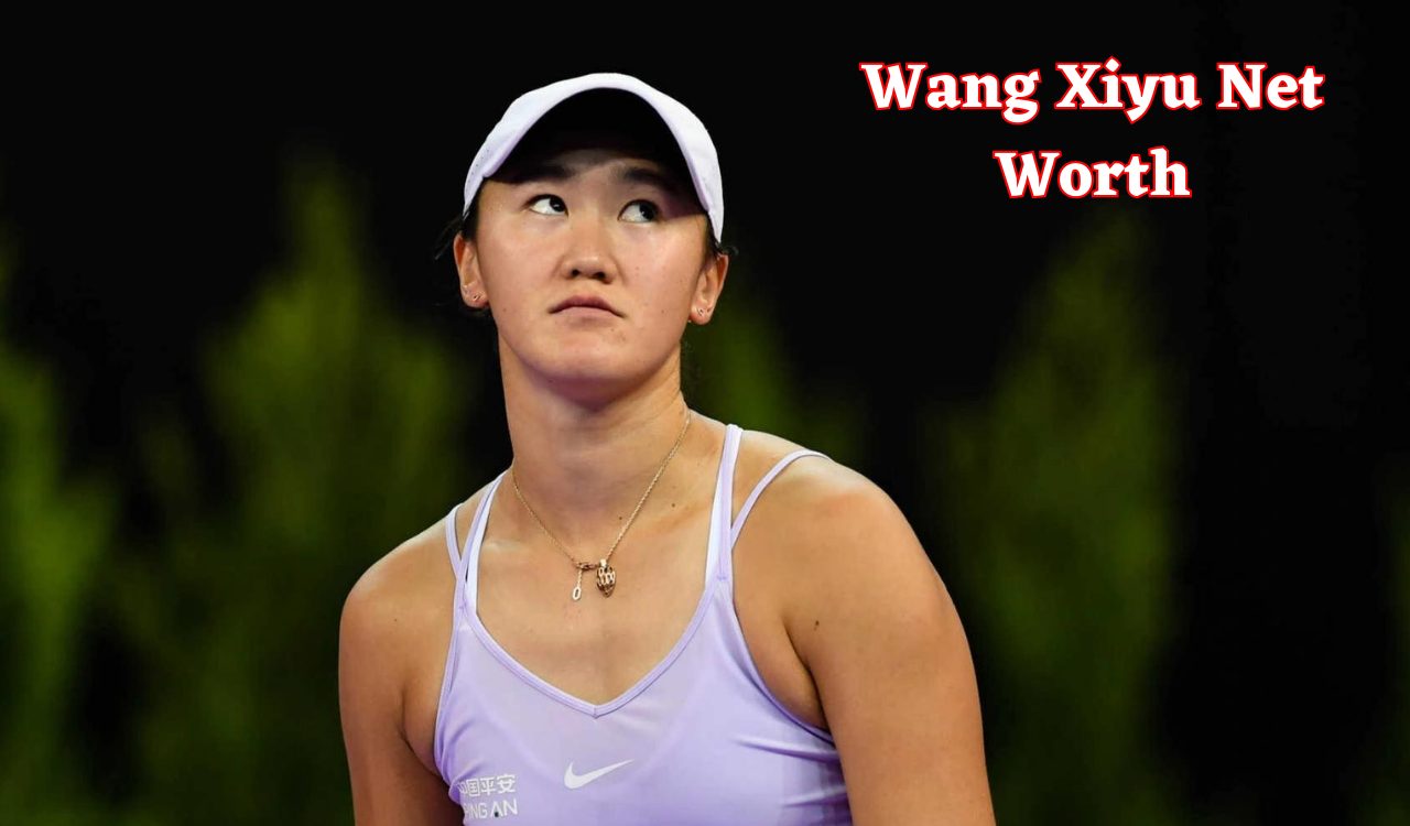 Wang Xiyu Net Worth
