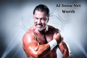 Al Snow Net Worth