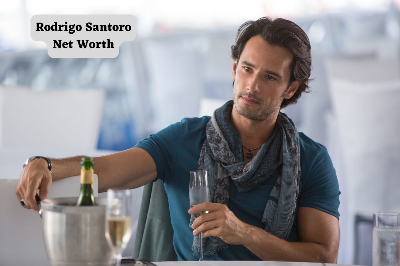 Rodrigo Santoro Net Worth