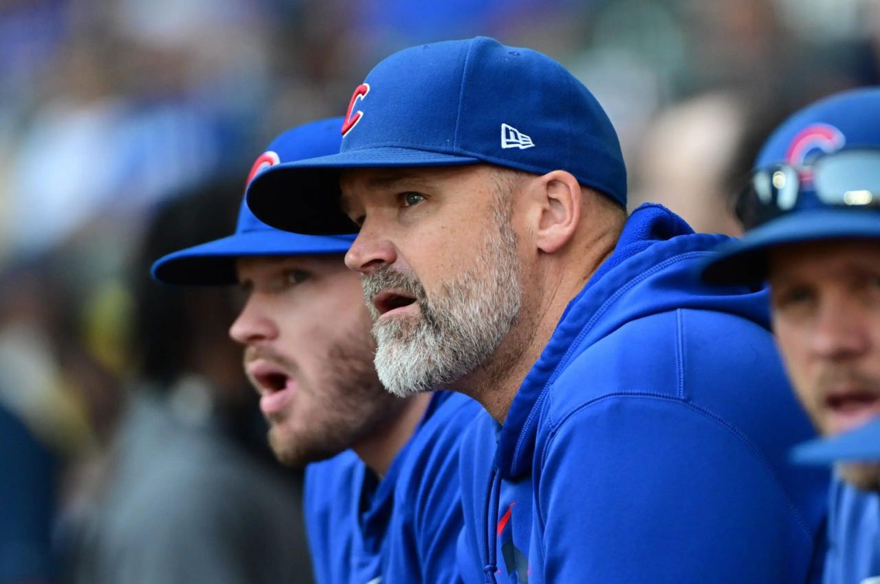 David Ross Net Worth 2024: Earnings, Age, Income and Wife
